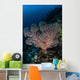 Large Soft Coral Colony Wall Decal Design 2