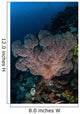 Large Soft Coral Colony Wall Decal Design 2