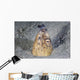 Black-finned Snake Eel Pokes Wall Decal