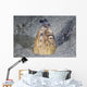 Black-finned Snake Eel Pokes Wall Decal