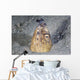 Black-finned Snake Eel Pokes Wall Decal