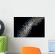 Wire Coral Goby Cirripathes Wall Decal Design 2