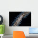 Wire Coral Goby Cirripathes Wall Decal Design 2