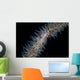 Wire Coral Goby Cirripathes Wall Decal Design 2
