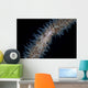 Wire Coral Goby Cirripathes Wall Decal Design 2