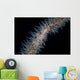 Wire Coral Goby Cirripathes Wall Decal Design 2