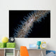 Wire Coral Goby Cirripathes Wall Decal Design 2