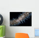 Wire Coral Goby Cirripathes Wall Decal Design 1