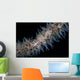 Wire Coral Goby Cirripathes Wall Decal Design 1