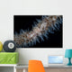Wire Coral Goby Cirripathes Wall Decal Design 1