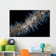 Wire Coral Goby Cirripathes Wall Decal Design 1