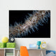 Wire Coral Goby Cirripathes Wall Decal Design 1