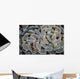 Anchor Coral Grows Reef Wall Decal