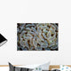 Anchor Coral Grows Reef Wall Decal