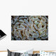 Anchor Coral Grows Reef Wall Decal