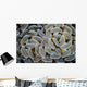 Anchor Coral Grows Reef Wall Decal