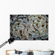 Anchor Coral Grows Reef Wall Decal