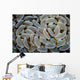 Anchor Coral Grows Reef Wall Decal