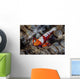Colorful Emperor Shrimp Sits Wall Decal Design 2