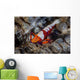 Colorful Emperor Shrimp Sits Wall Decal Design 2