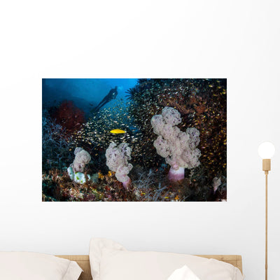 Golden Sweepers Surround Soft Wall Decal Design 2 shown on a wall