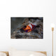 Colorful Emperor Shrimp Sits Wall Decal Design 1