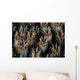 Polyps Galaxea Coral Colony Wall Decal