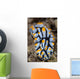 Toxic Nudibranch Crawls Slowly Wall Decal