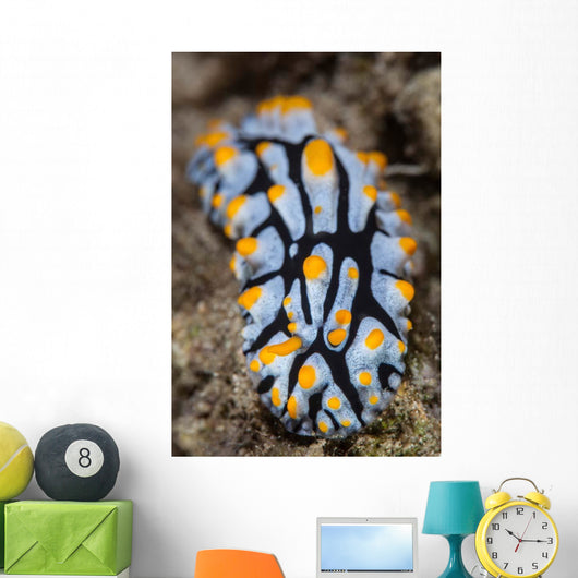 Toxic Nudibranch Crawls Slowly Wall Decal
