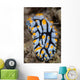 Toxic Nudibranch Crawls Slowly Wall Decal