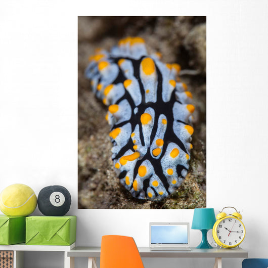 Toxic Nudibranch Crawls Slowly Wall Decal