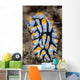 Toxic Nudibranch Crawls Slowly Wall Decal