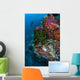 Diver Hovers above Colorful Wall Decal