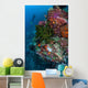 Diver Hovers above Colorful Wall Decal