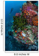 Diver Hovers above Colorful Wall Decal