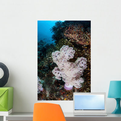 Large Soft Coral Colony Wall Decal Design 1 shown on a wall