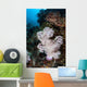 Large Soft Coral Colony Wall Decal Design 1