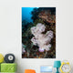 Large Soft Coral Colony Wall Decal Design 1