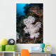 Large Soft Coral Colony Wall Decal Design 1