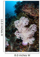 Large Soft Coral Colony Wall Decal Design 1