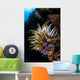 Colorful Crinoid Komodo National Wall Decal Design 3