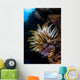 Colorful Crinoid Komodo National Wall Decal Design 3