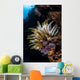 Colorful Crinoid Komodo National Wall Decal Design 3