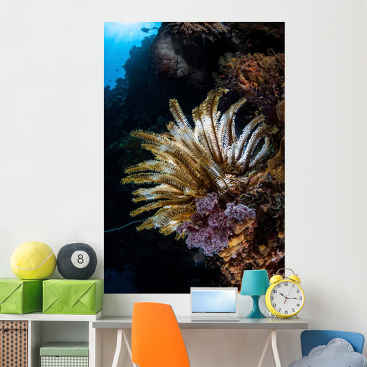 Colorful Crinoid Komodo National Wall Decal Design 3