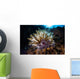 Colorful Crinoid Komodo National Wall Decal Design 2