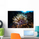 Colorful Crinoid Komodo National Wall Decal Design 2