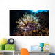 Colorful Crinoid Komodo National Wall Decal Design 2