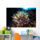 Colorful Crinoid Komodo National Wall Decal Design 2