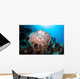 Beautiful Soft Coral Colony Wall Decal Design 3
