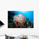 Beautiful Soft Coral Colony Wall Decal Design 3